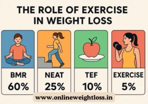 role of exercise in weight loss