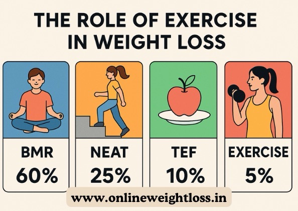 role of exercise in weight loss