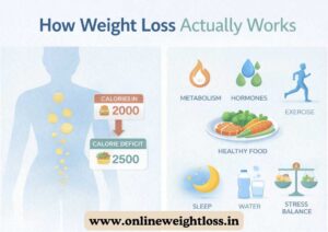 How Weight Loss Actually Works